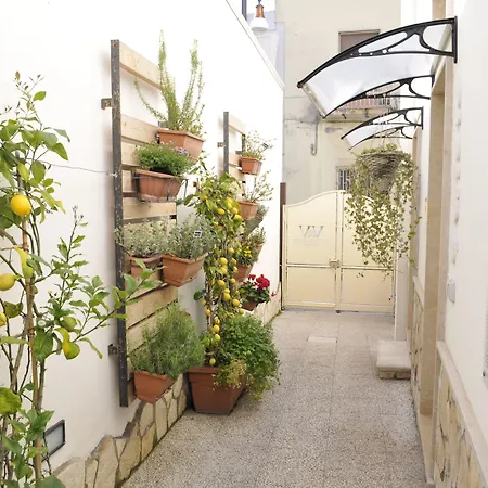Sweet V&v